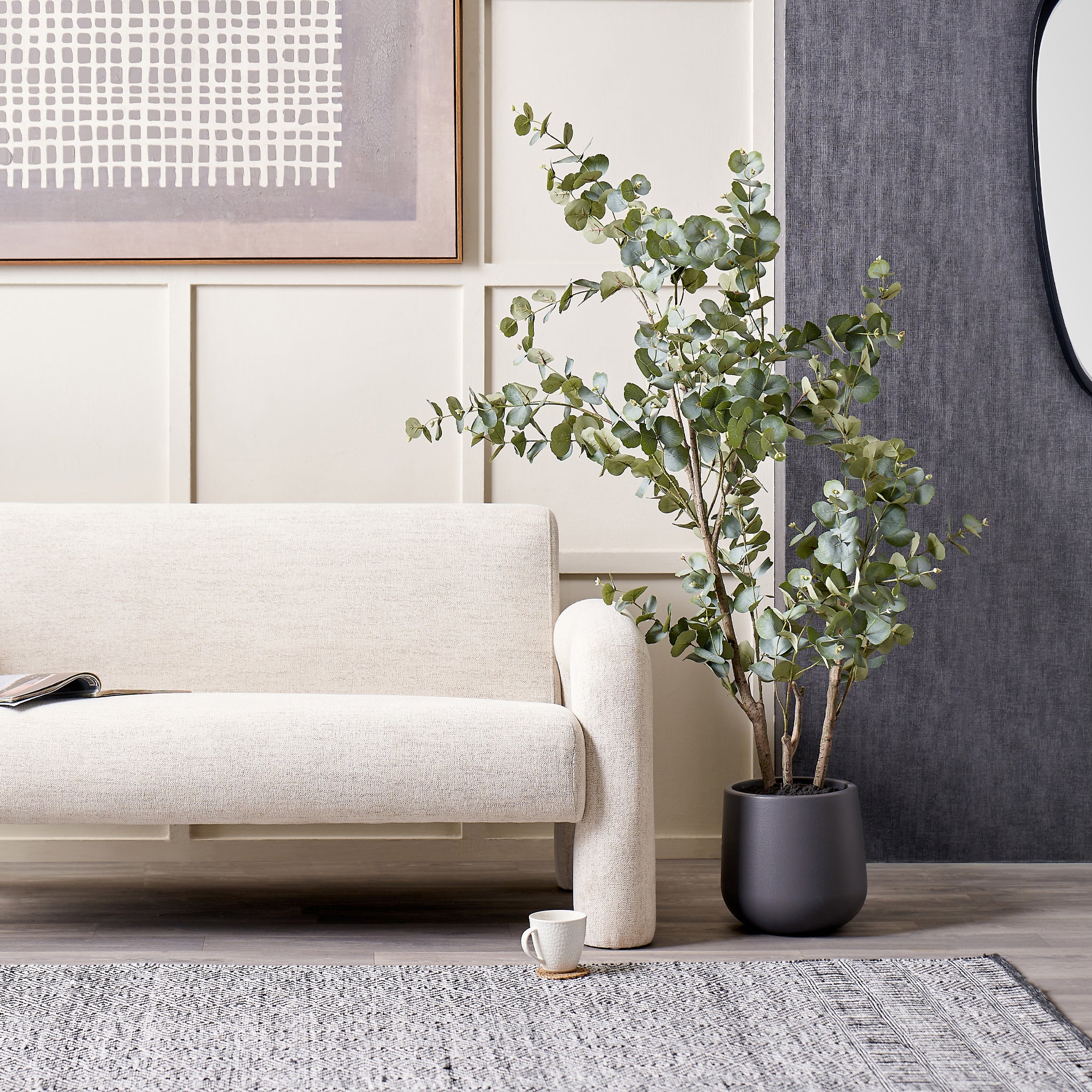 Eucalyptus Tree in Pot - Image 10